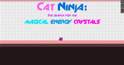 Cat Ninja