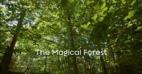 Secrets of our living planet - The Magical Forest