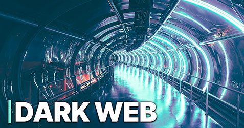 The Dark Web