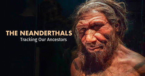 The Neanderthals Tracking Our Ancestors