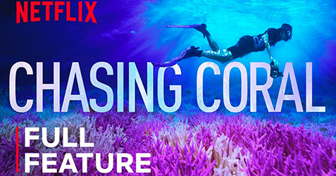 Chasing Coral