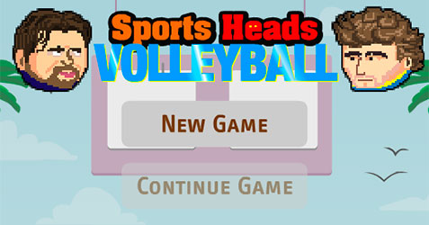 Sports Heads Volleyball