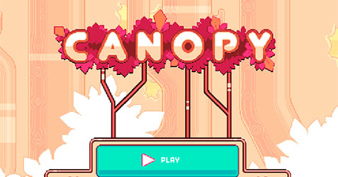 Canopy 66 EZ