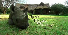 There's a Rhino in My House