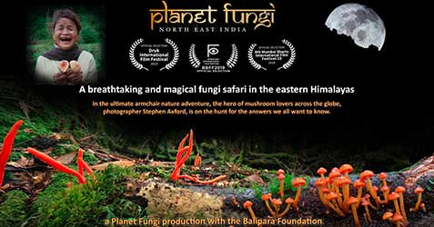 Planet Fungi: Northeast India