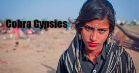 Cobra Gypsies Documentary