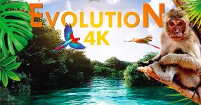 Evolution 4K