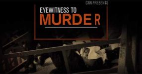 Eyewitness to Murder: The King Assassination