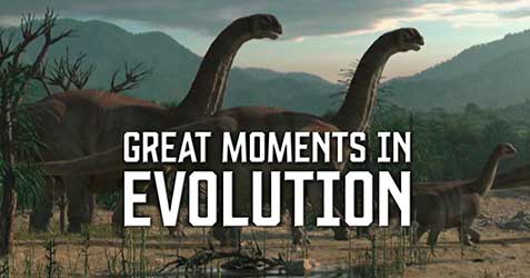 Great Moments in Evolution - The Miracle of Life
