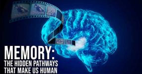 Memory: The Pathways That Make Us Human