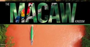 The Macaw Kingdom