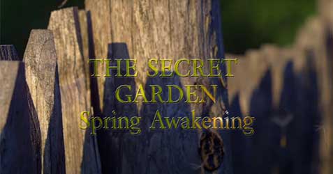 the secret garden - spring awakening
