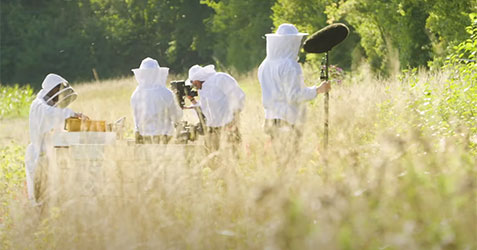 Beekeeper 2024 Making of & Behind the Scenes