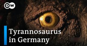 The "Tyrannosaurus" of Tambach-Dietharz