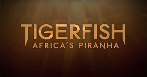 Tigerfish: Africa's Piranha