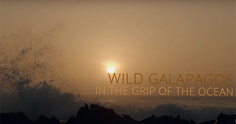 Wild Galapagos: In the Grip of the Ocean
